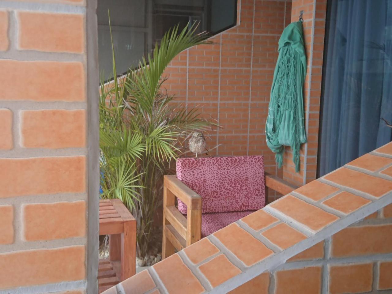 Pousada Suites Do Santinho Florianópolis Dış mekan fotoğraf